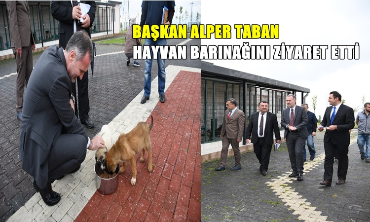 Başkan Taban Hayvan Barınağını Ziyaret Etti