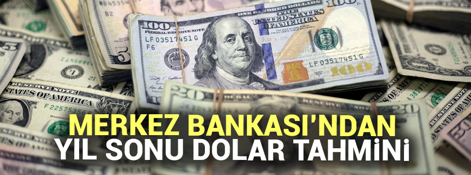 Merkez Bankası Yıl Sonu Dolar tahminini açıkladı !