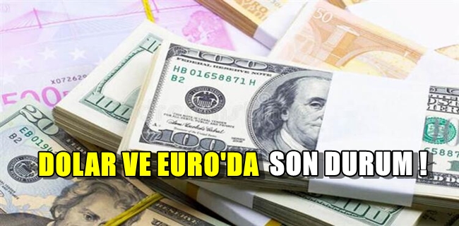 Dolar ve Euro’da son durum !