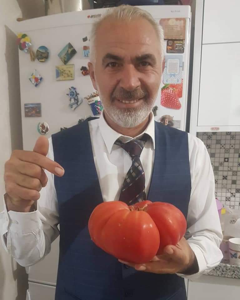 Okul Müdürü rekor ağırlıkta domates yetiştirdi