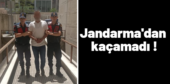 Jandarma