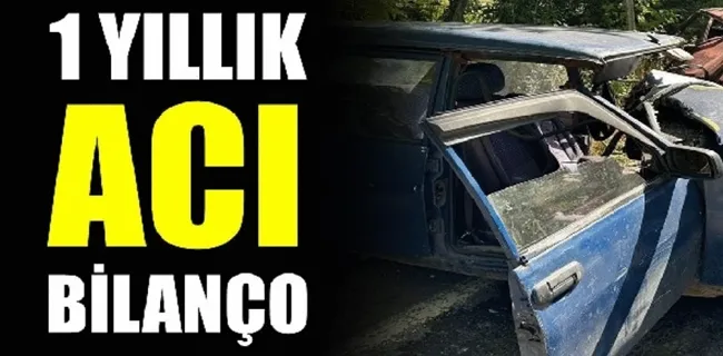 TÜİK açıkladı: 2023