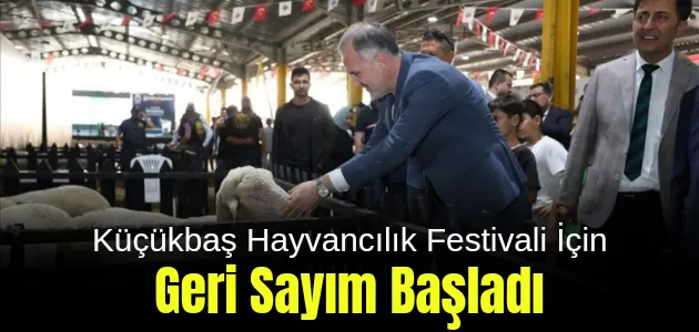 Küçükbaş Hayvancılık Festivali İçin Geri Sayım Başladı