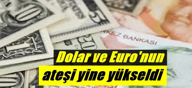 Dolar ve Euro