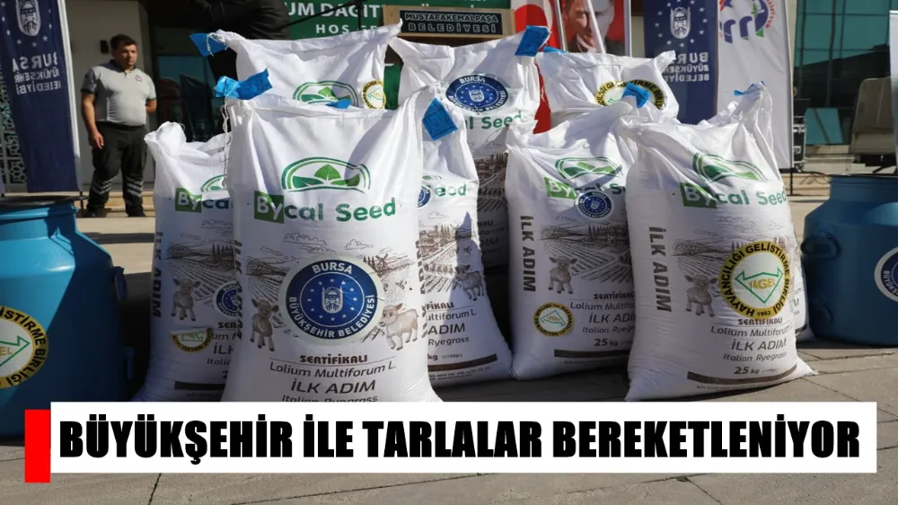 BÜYÜKŞEHİR İLE TARLALAR BEREKETLENİYOR