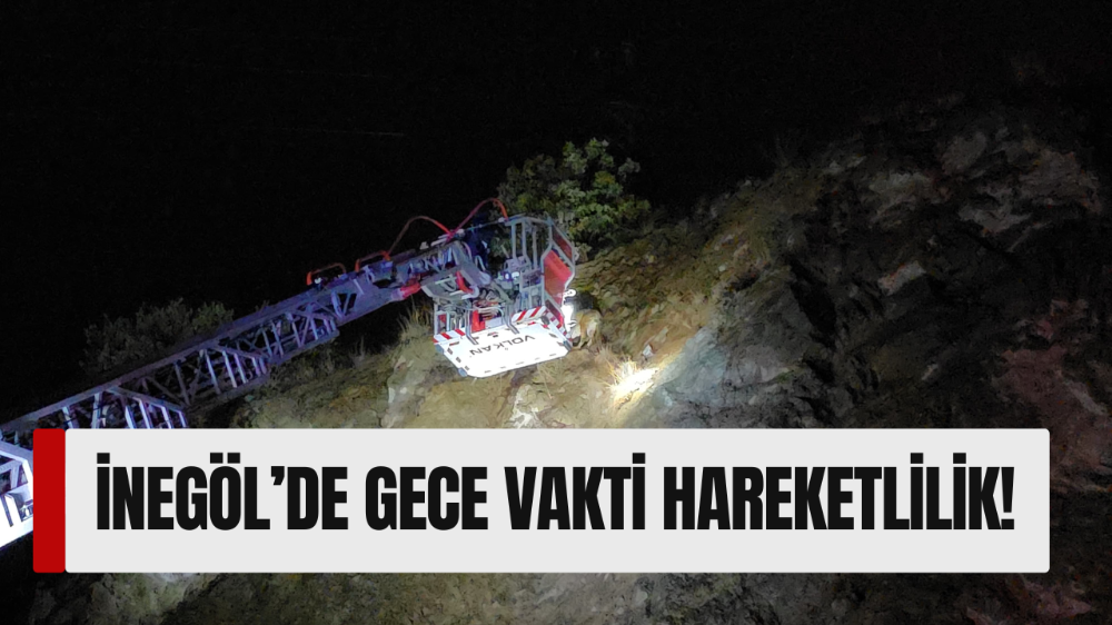 Uçurumda mahsur kalan köpek halatla yapılan zorlu operasyonla kurtarıldı