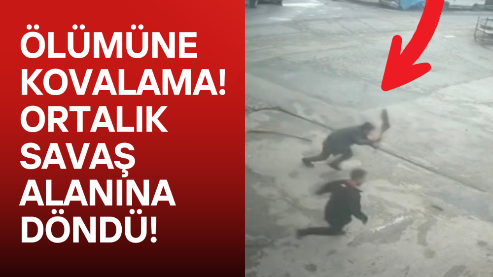 Fareyi süpürgeyle kovaladı, arkadaşı şut atar gibi tekme attı