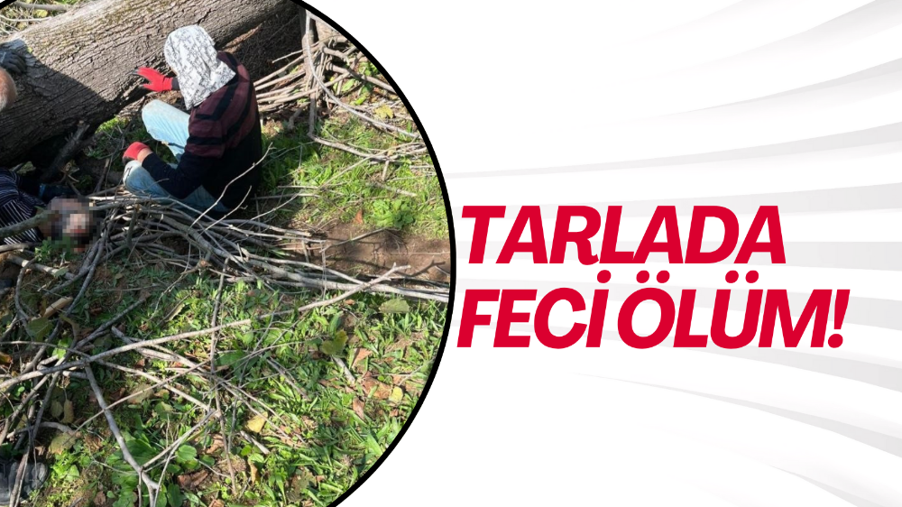 Ağaç Keserken Feci Şekilde Hayatını Kaybetti 