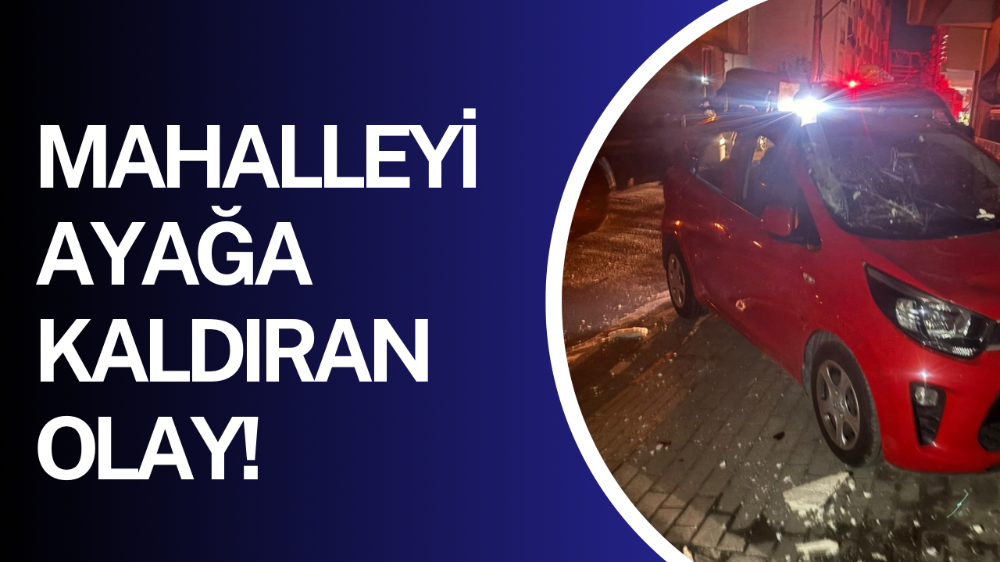 Bursa
