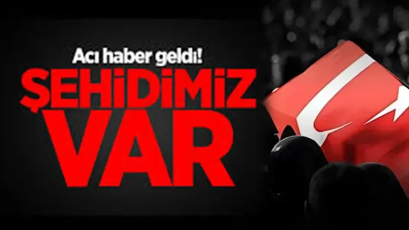 Zagreb’te Türk Uçağı Düştü: Pilot Şehit Oldu