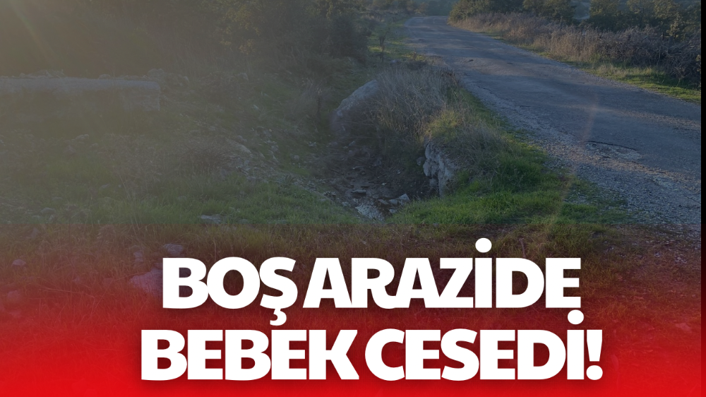 Boş arazide bulunan bebek cesediyle ilgili 1 tutuklama