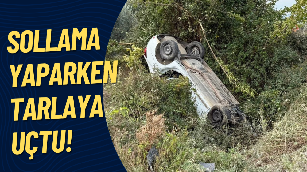 Sollama yaparken zeytinliğe uçtu