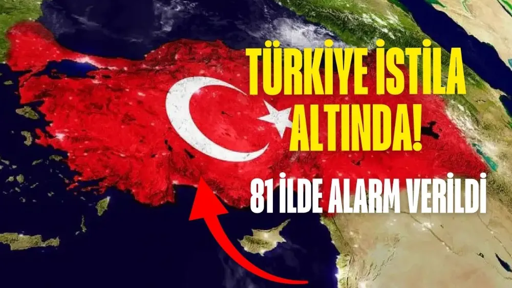 Kahverengi Kokarca Türkiye’de Hızla Yayılıyor: Tarım İçin Büyük Tehdit