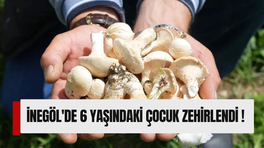 Ailesi ile birlikte mantar yiyen küçük çocuk yaralandı !