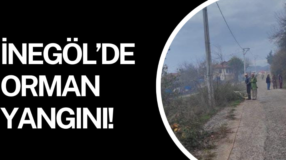 İnegöl’de Orman Yangını!