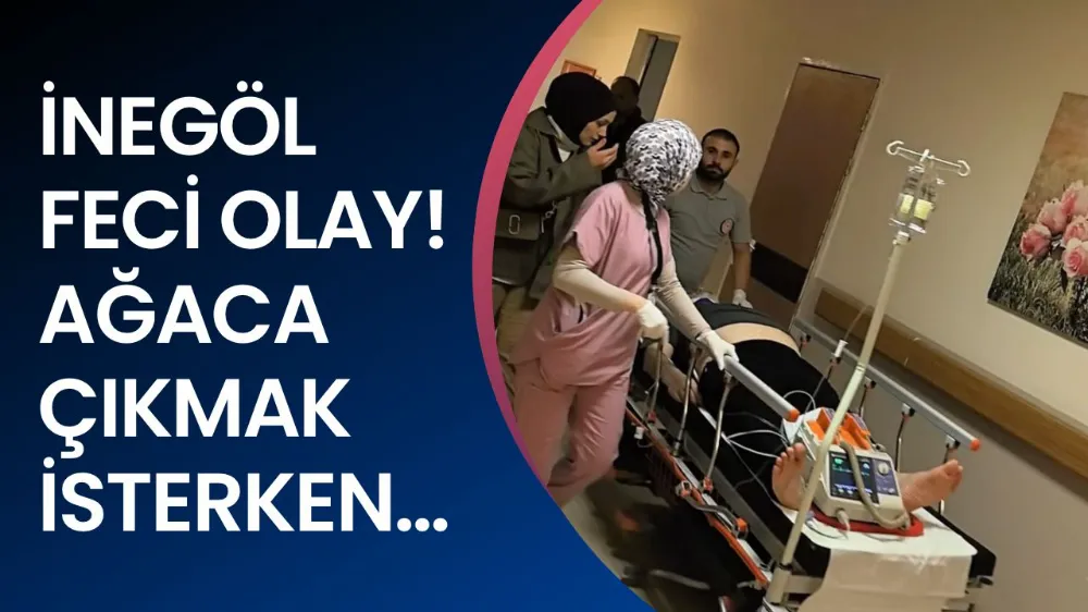 Ağaca çıkmak isterken düşen adam ağır yaralandı