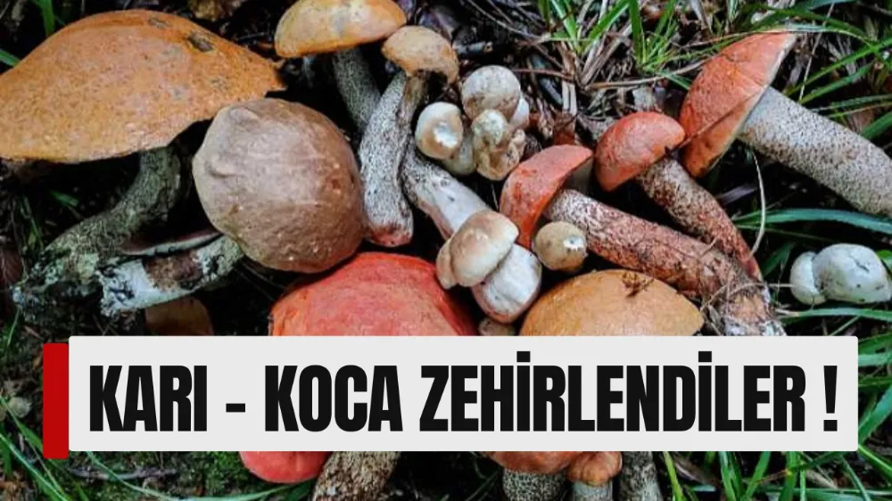 Mantarları yüzünden canlarından oluyorlardı 