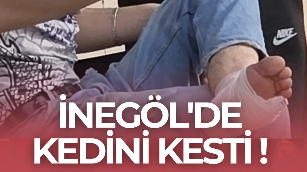 İnegöl’de Odun Keserken Baltayla Bacağını Yaraladı