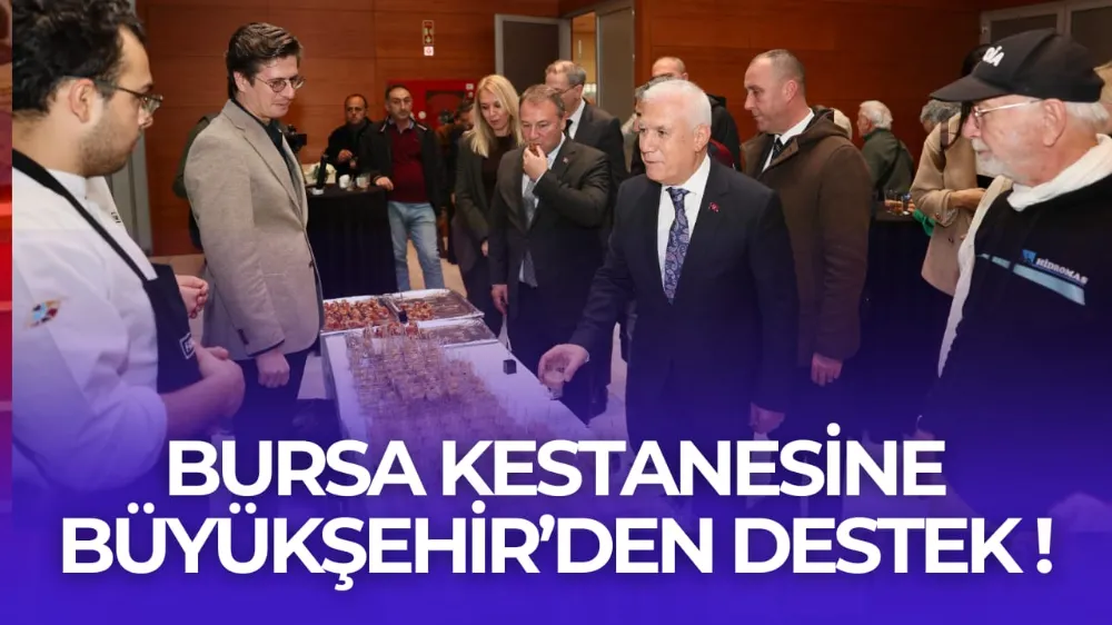 Bursa kestanesine Büyükşehir’den destek