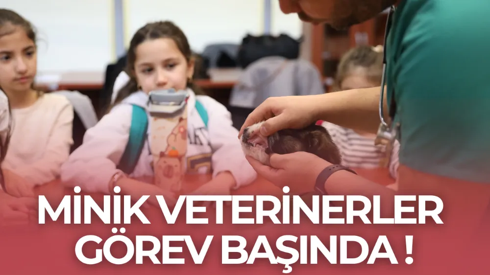 MİNİK VETERİNERLER GÖREV BAŞINDA