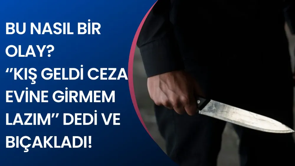 Ceza evine girmek için bıçakladı!