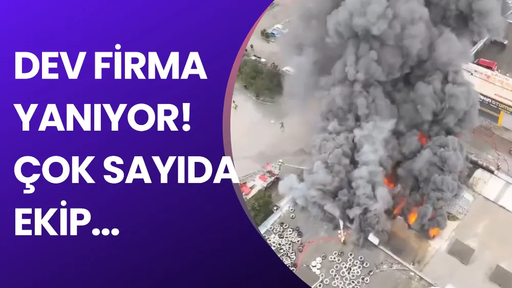 Bursa