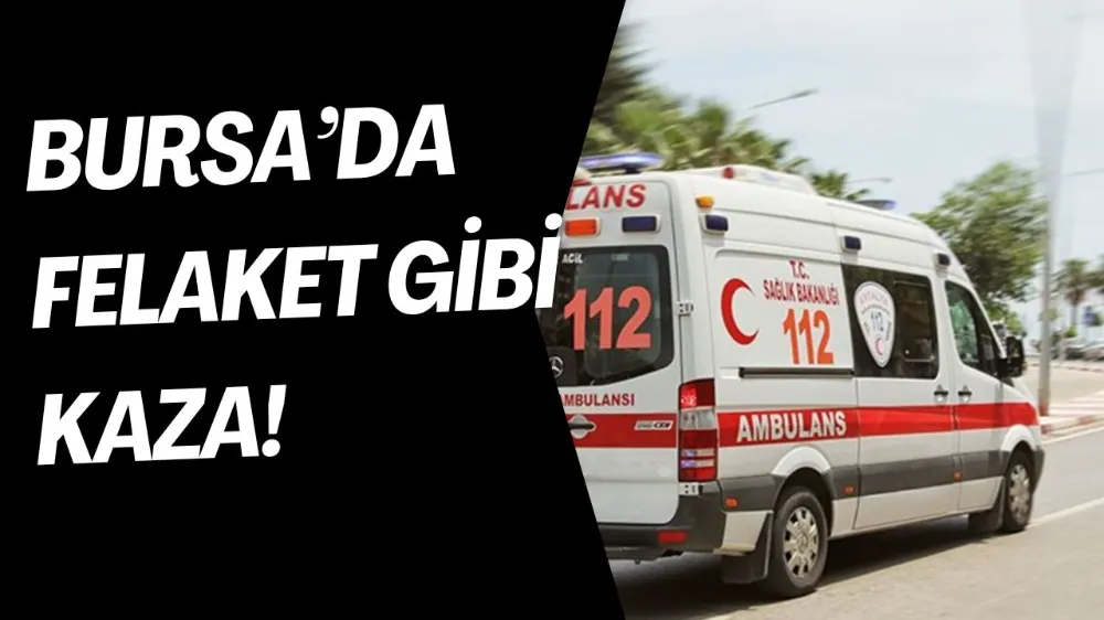Bursa