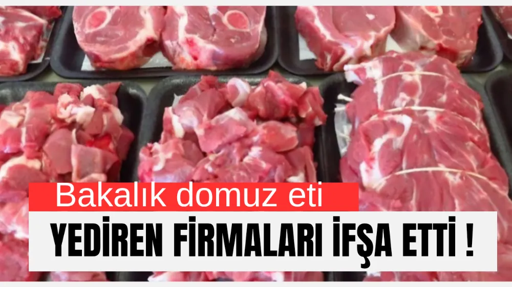 Bakanlığın İfşa Listesinde Şok! 7 Ayrı Domuz Eti Skandalı – Köfteci Yusuf da Listede