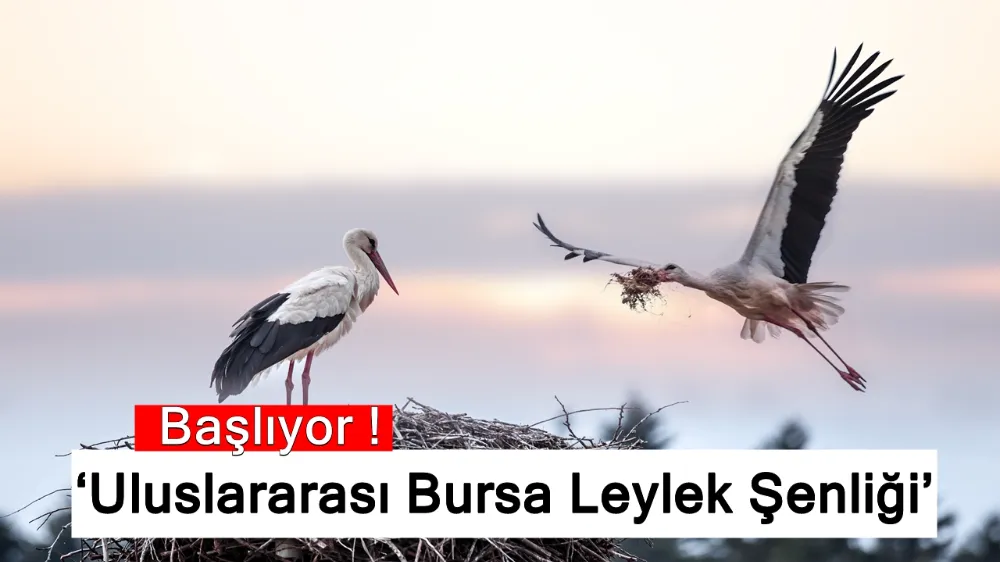 ‘Uluslararası Bursa Leylek Şenliği’ başlıyor