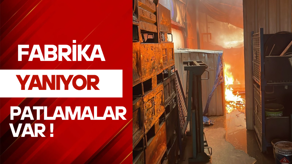Bursa