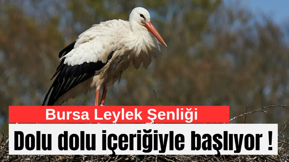  Bursa Leylek Şenliği, dolu dolu içeriğiyle başlıyor