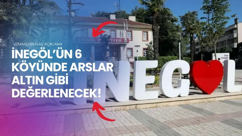 Bursa