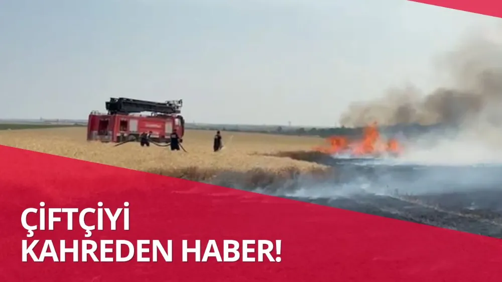 Buğday Tarlasında Yangın: 500 Dekar Alan Zarar Gördü