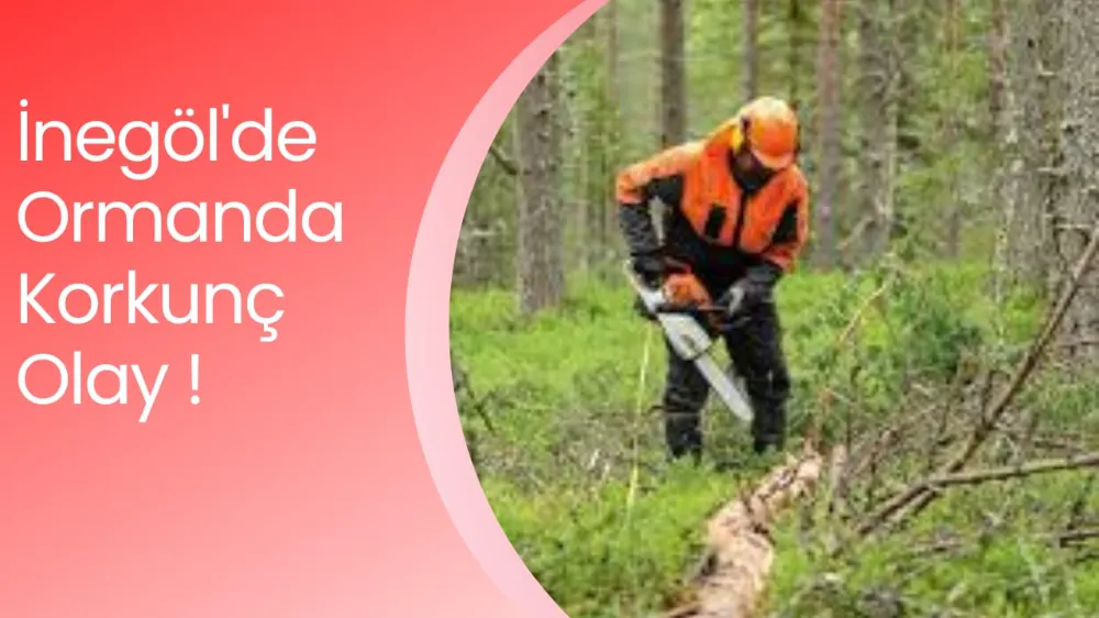 ORMANDA KORKUNÇ KAZA: MOTORLU TESTERE ELİNİ KESTİ