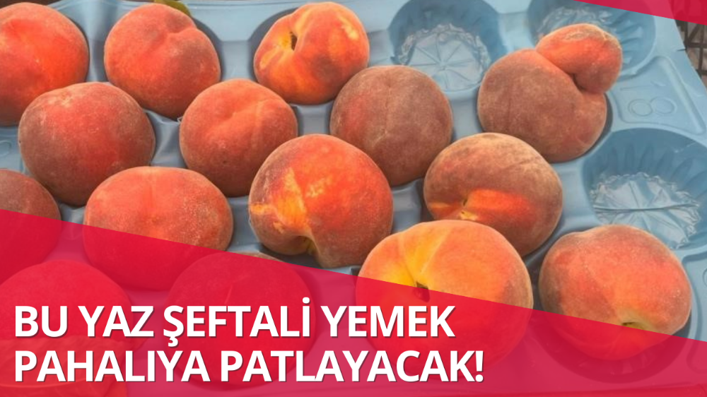 Bursa şeftalisi sezona dalında 50 lirayla başladı