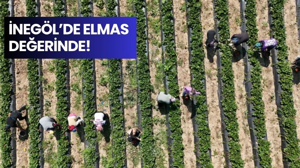 Elmas değerinde! İnegöl