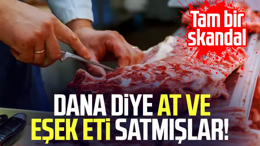 Gıda Skandalı Pes Dedirtti: Kıyma Diye Kalp, Dana Diye At ve Eşek Eti Yedirmişler!