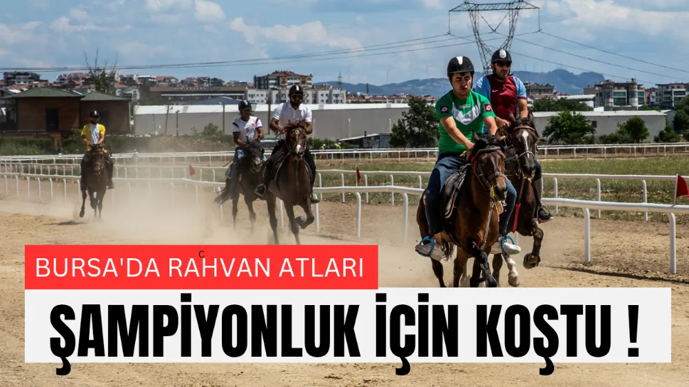Rahvan atları şampiyonluk için koştu
