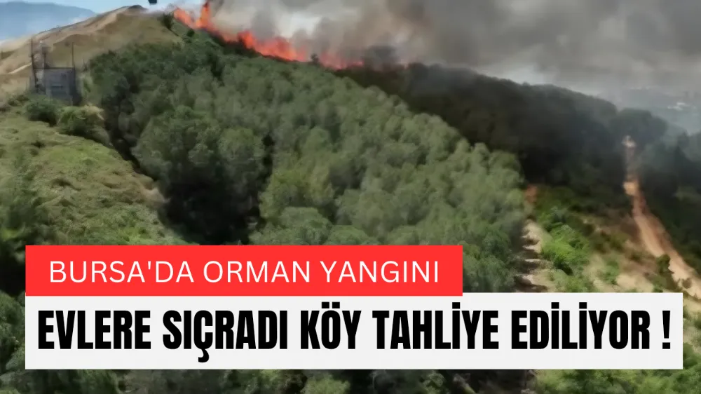Bursa’da Orman Yangını Korkuttu: Alevler Evlere Sıçradı, Mahalleli Gözyaşları İçinde Tahliye Edildi