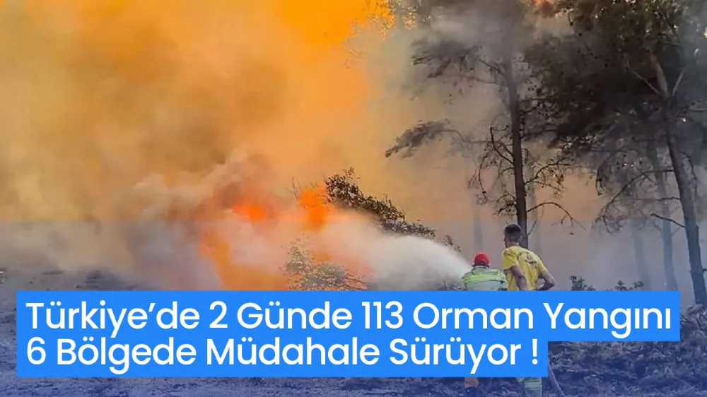 Türkiye’de 2 Günde 113 Orman Yangını: 6 Bölgede Müdahale Sürüyor
