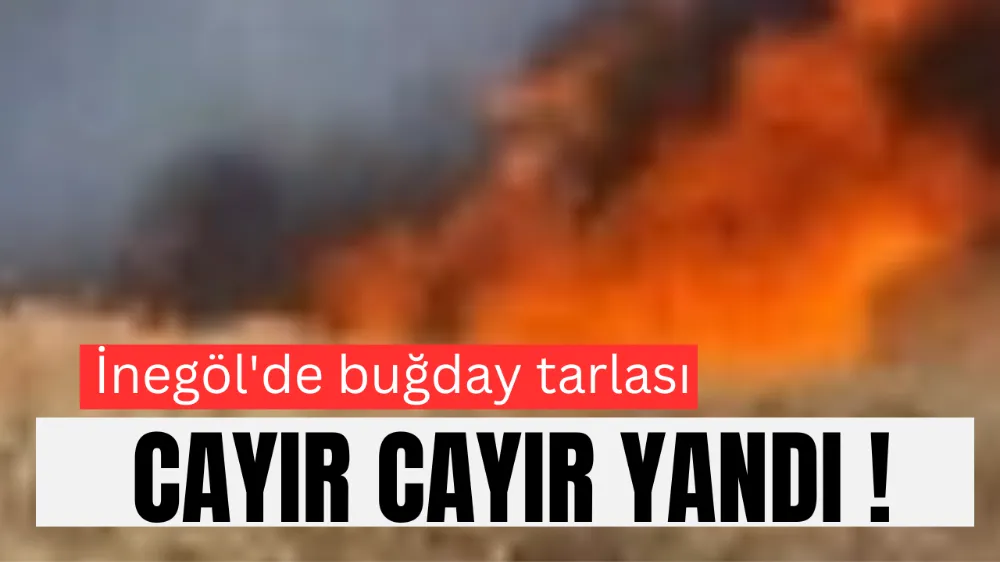 İnegöl’de Buğday Tarlasında Yangın: 50 Dönüm Alan Kül Oldu