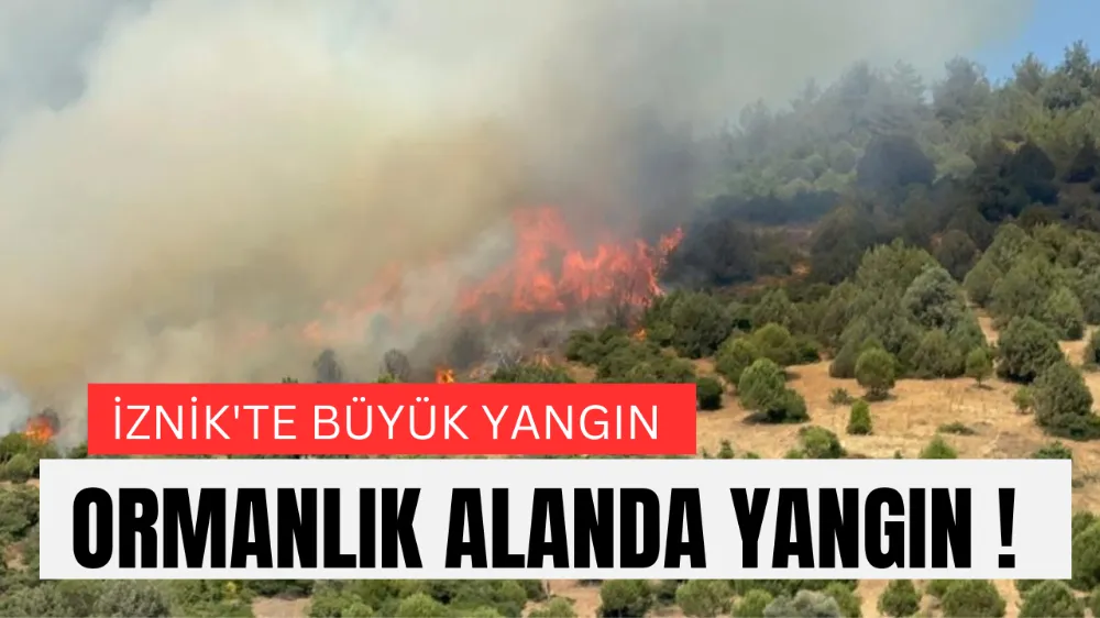 İznik’te Orman Yangını: İnikli Mahallesi Tehlike Altında