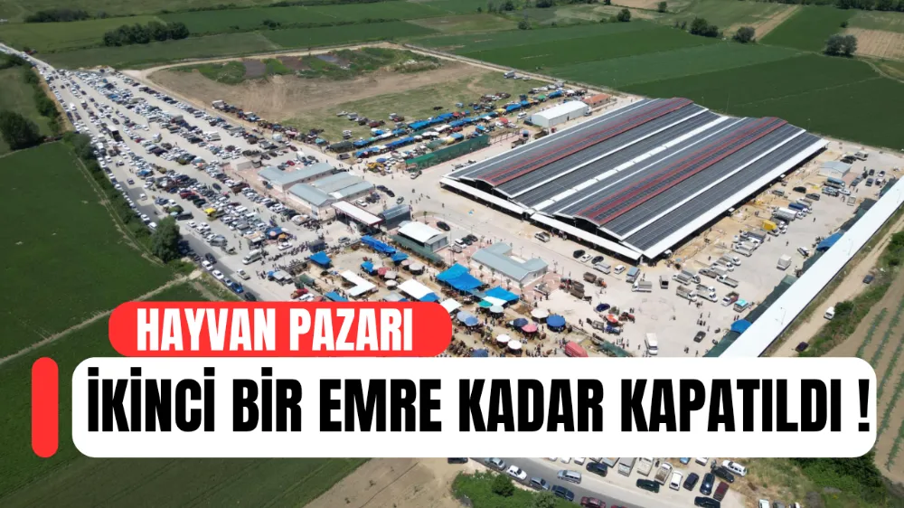 Hayvan Pazarları İkinci Bir Emre Kadar Kapatıldı