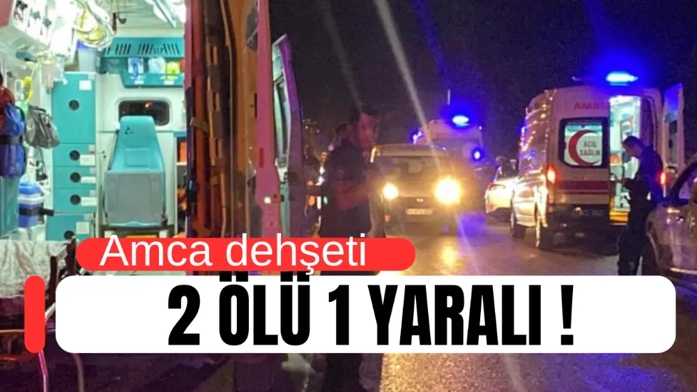 Amca dehşeti 2 ölü 1 yaralı !