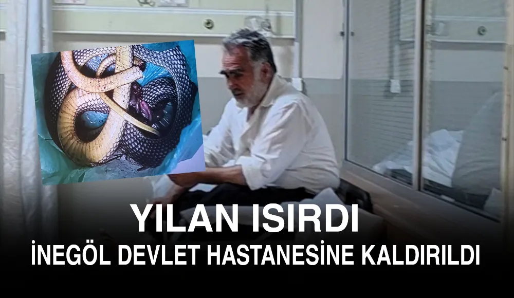 Yılan ısıran adam İnegöl Devlet Hastanesine kaldırıldı !