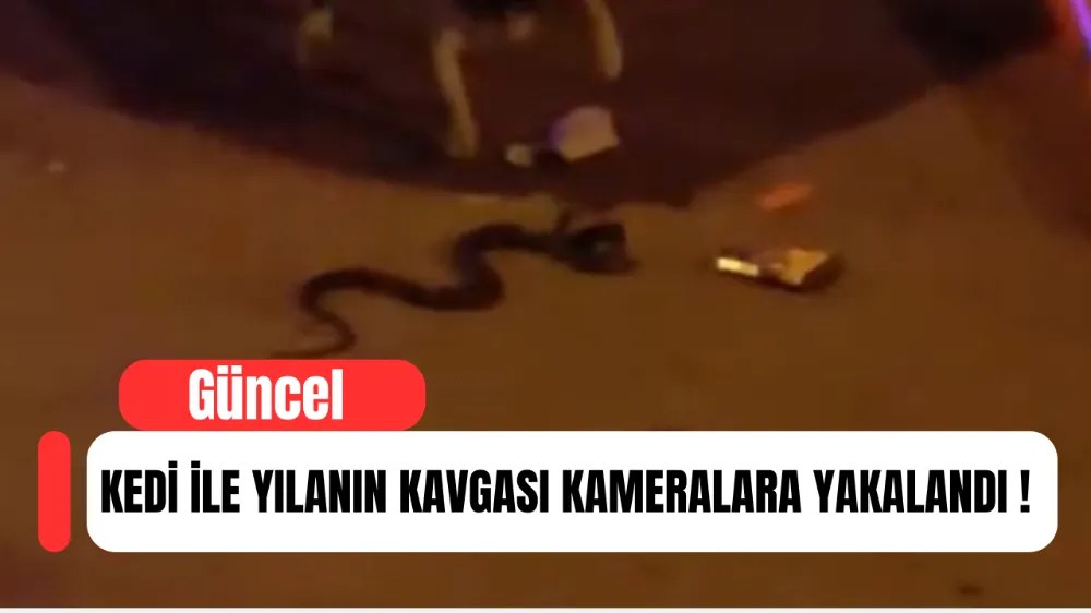 İnegöl
