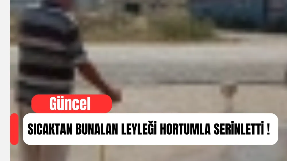 Sıcaktan Bunalan Leylek Gölgeye Sığındı, Ev Sahibi Hortumla Serinletti