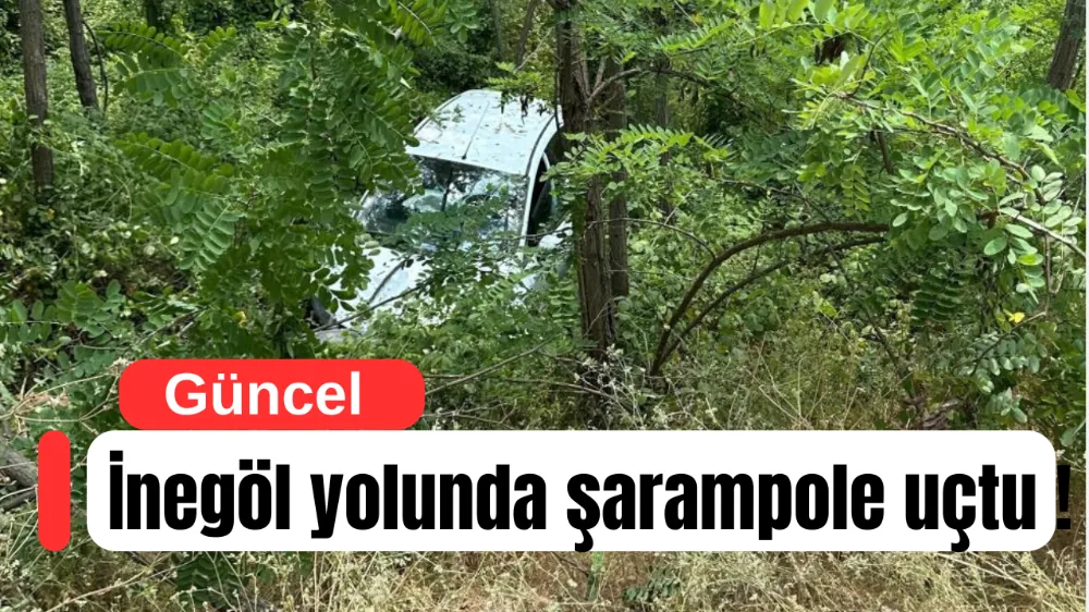 Kontrolden Çıkan Otomobil Şarampole Uçtu: 3 Yaralı, Kedi de Kurtarıldı
