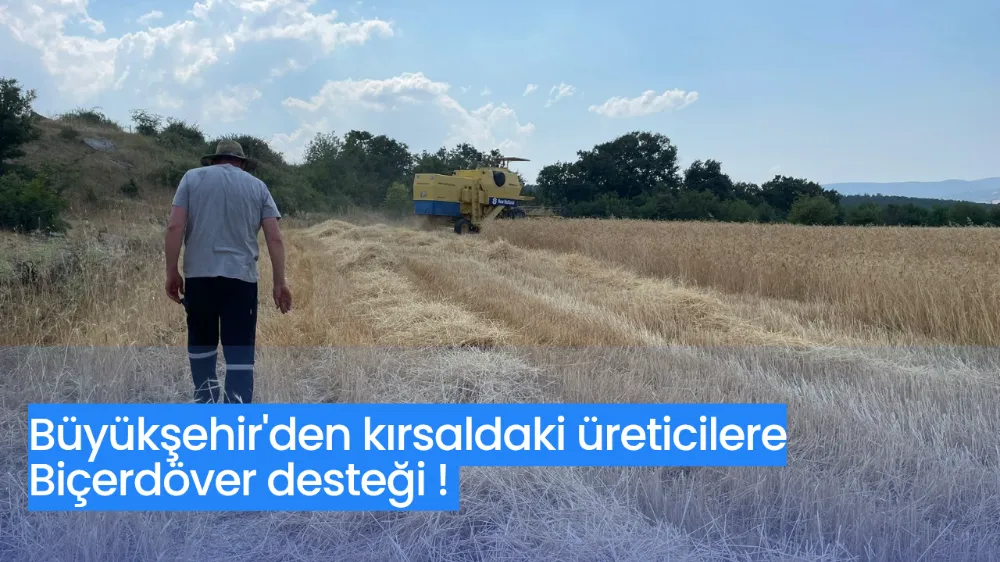 Büyükşehir