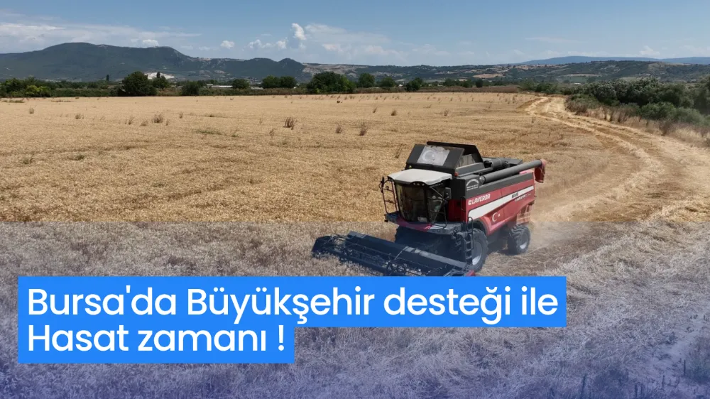 Bursa